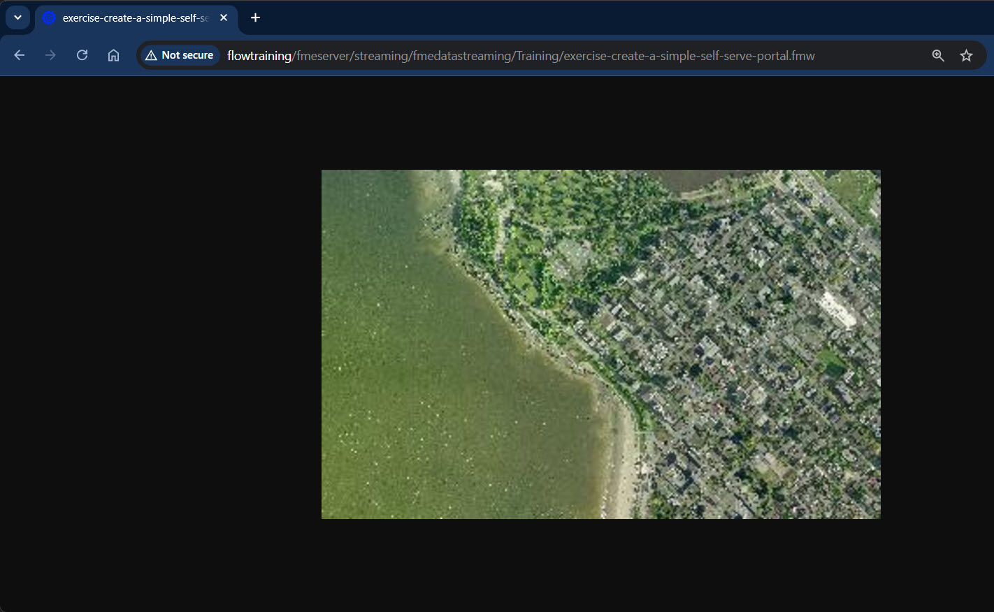 Viewing the results in a browser